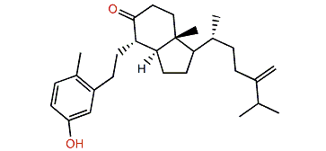 24-Methylenecalicoferol E